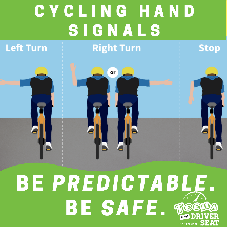Pedestrian & Bicycle Safety