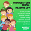 Survey Graphic - How does your school measure up?
